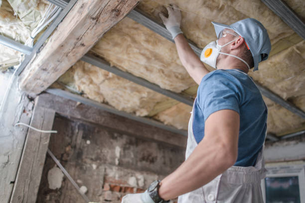 Best Commercial Insulation in Sunset, LA